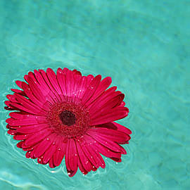 Lymphdrainage, manuelle Lymphdrainage, Manuelle Lymphdrainage, Entstauung, Ödeme, KPE, Lymphe, Massage